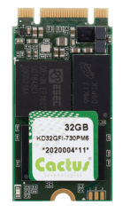 Cactus-730PM6-32GB-2242-PCIe-M-2-1